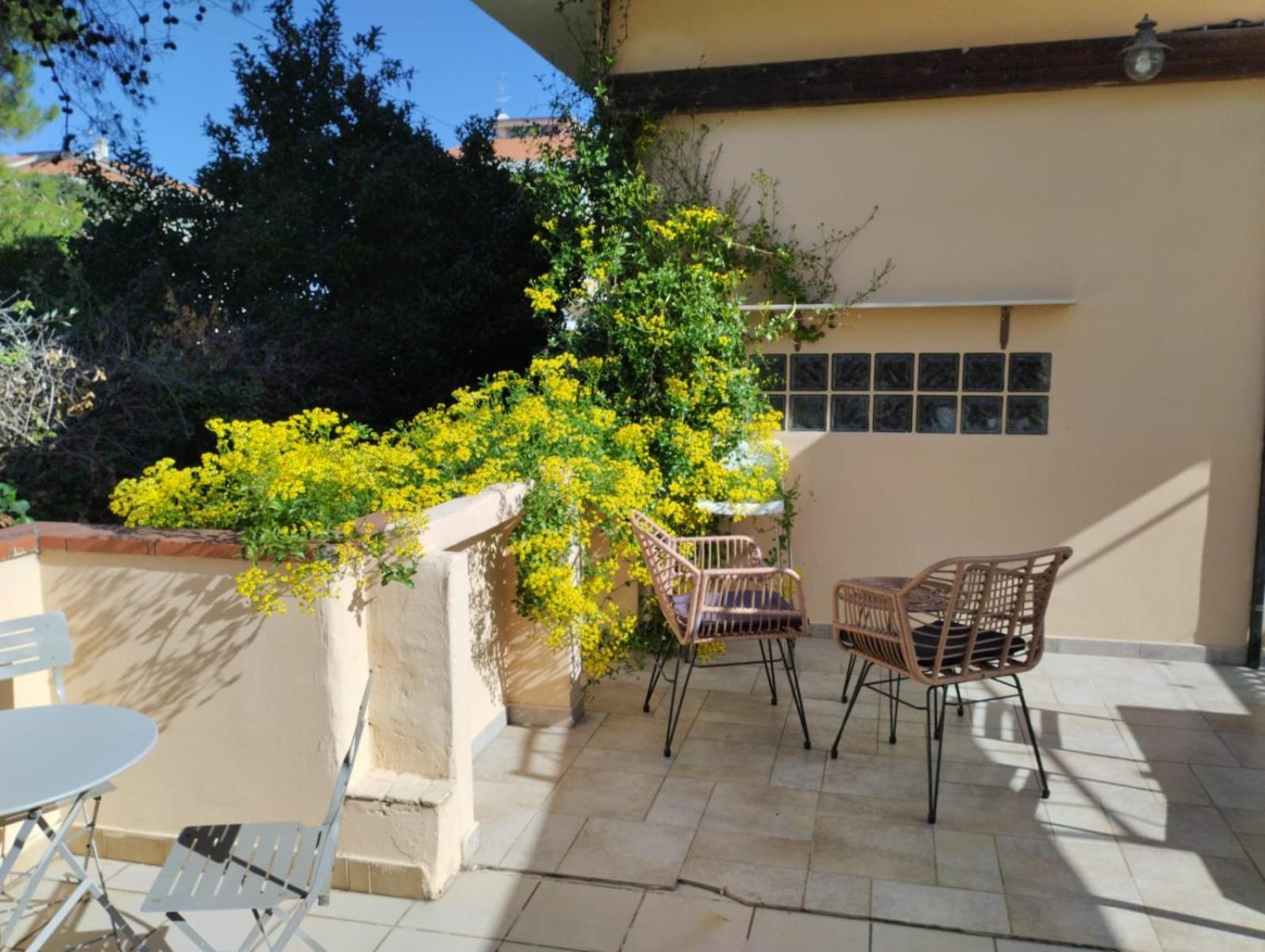 Appartamento Fronte Mare Con Parcheggio Privato 佩斯卡拉 外观 照片